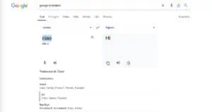 L'uso di Google per traduzioni 